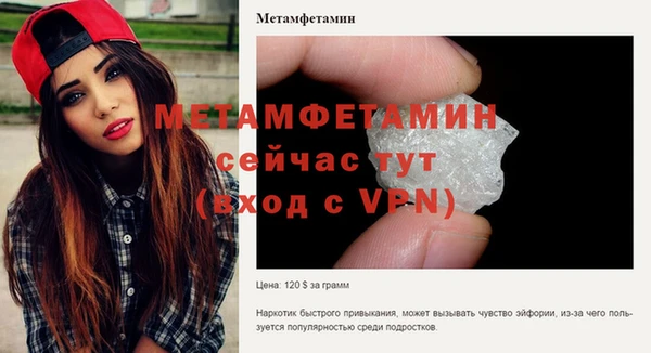 гидра Верея